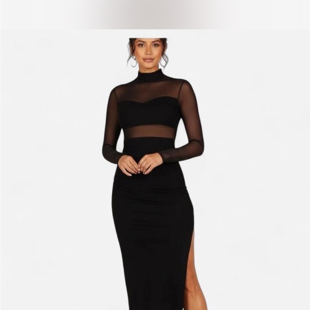 Elegant Black Sheer Mesh Sleeve Dress by Petal and Pup